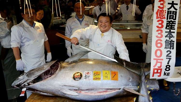 مطعم ياباني يشري سمكة تونة بـ 3.1 مليون دولار