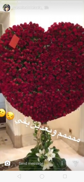 منشور ياسمين على انستقرام