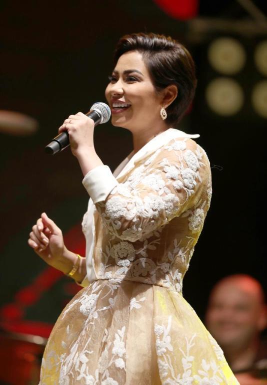 حفل-شيرين-عبد-الوهاب- (4)