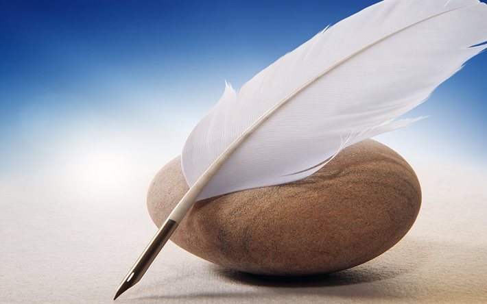 في مزاد علني.. بيع 50 رسالة حب بـ 876 ألف دولار