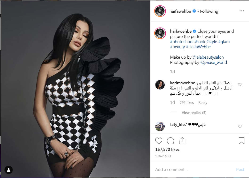 صور-هيفاء-وهبي- (3)