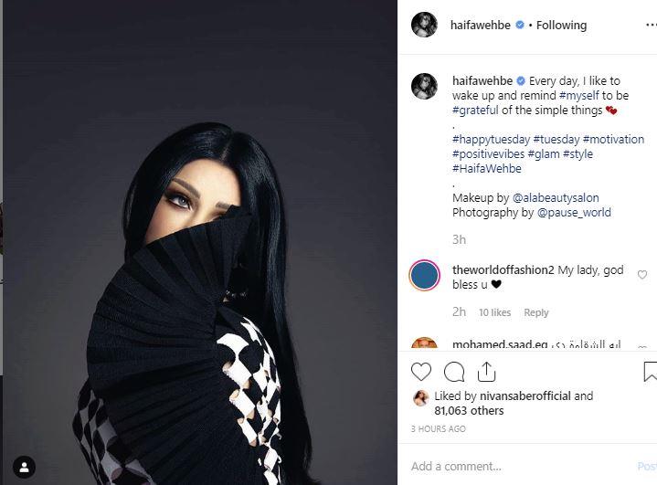 صور-هيفاء-وهبي- (4)