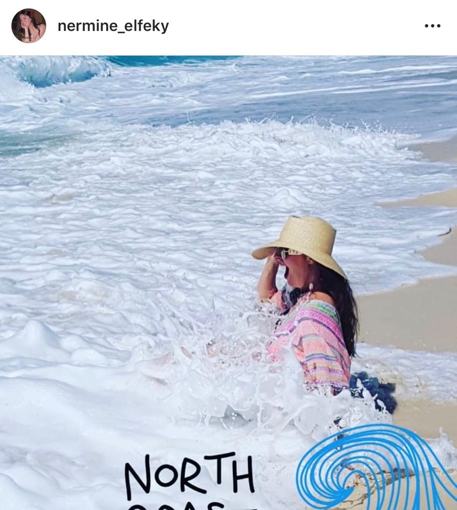 صور-نرمين-الفقي- (3)