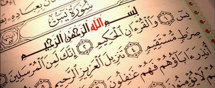 تفسير سورة يس في المنام للفتاة العزباء