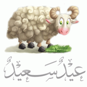 صور-عيد-الاضحى- (1)