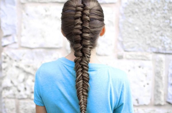 السنبلة الهندية