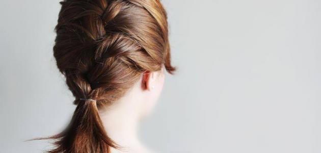 السنبلة الهندية