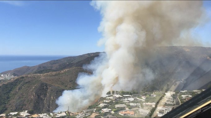 قصور المشاهير فى غابات لوس انجلوس