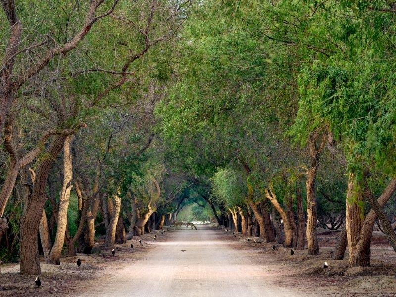 إمكان تفتتح عيادة شا ويلنيس كلينيك في مشروع الجرف بأبو ظبي  