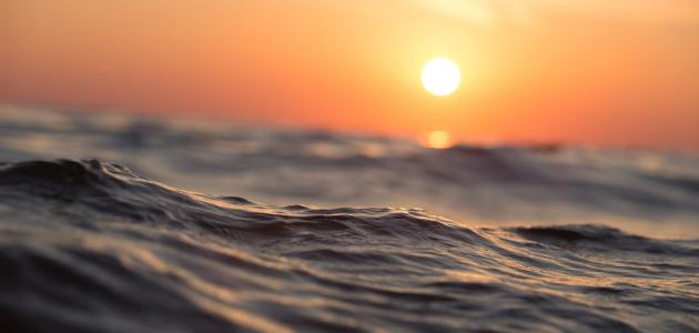 اكتشاف بحري جديد يضع العلماء في حيرة والسبب ؟!