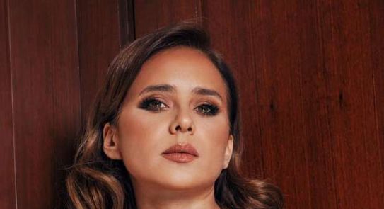 مسلسل فاتن امل حربي