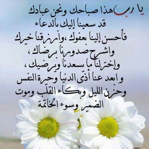 "<yoastmark