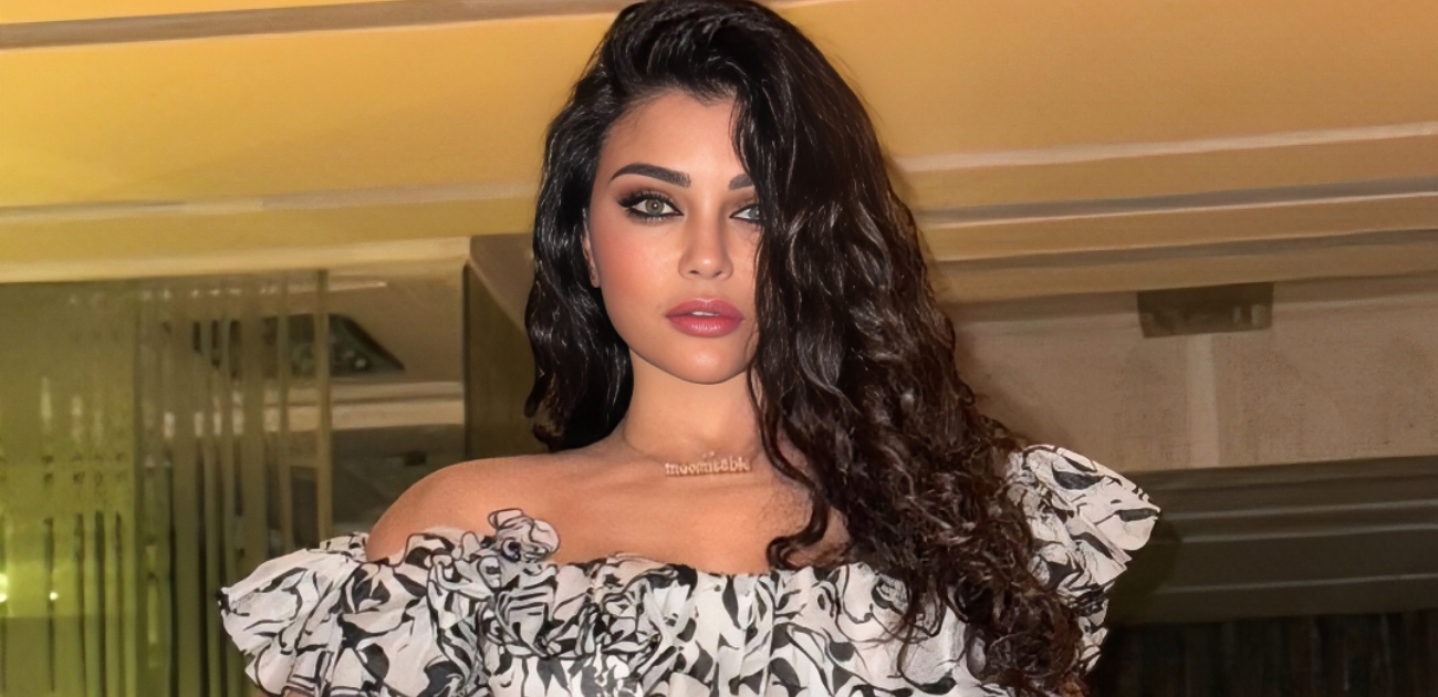 هيفاء وهبي تنهي أزمة تواجدها الفني في مصر
