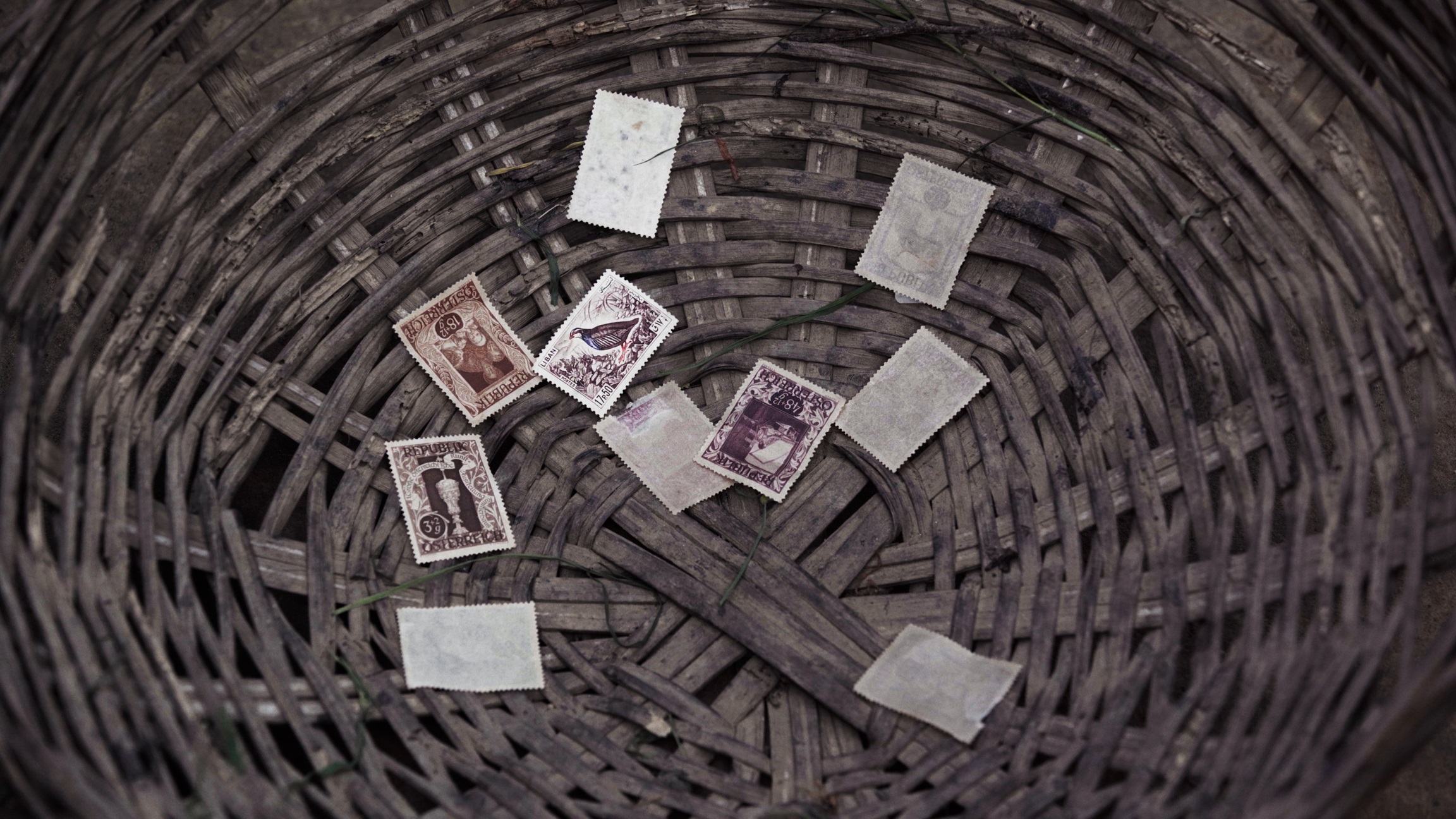 متحف فيكتوريا وألبرت ومؤسسة جميل للفنون يعلنان فوز خانداكار أوهيدا بجائزة جميل: "الصور المتحركة" 