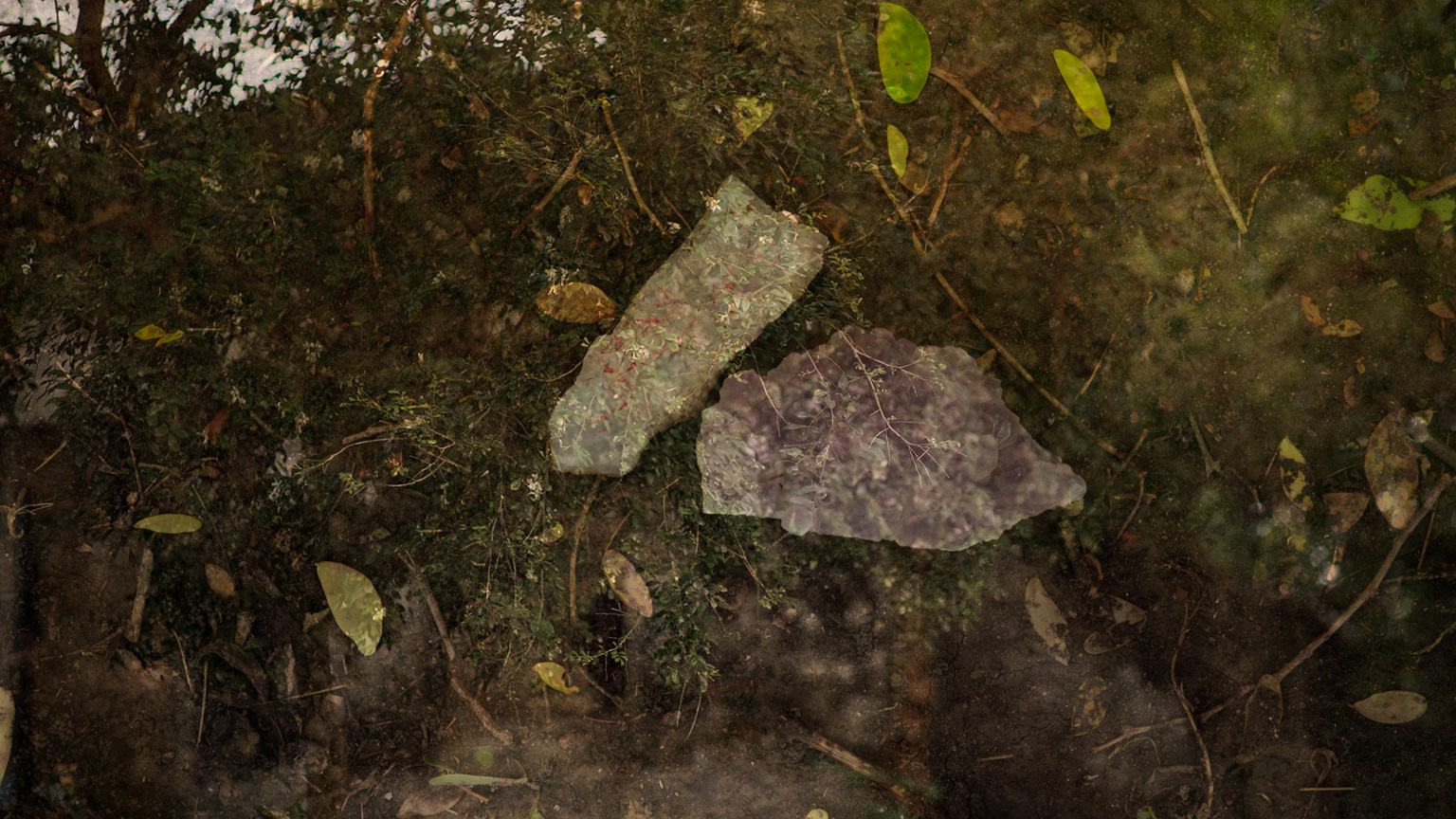 متحف فيكتوريا وألبرت ومؤسسة جميل للفنون يعلنان فوز خانداكار أوهيدا بجائزة جميل: "الصور المتحركة" 