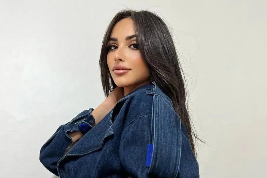 أنباء عن إلغاء تصريح آية سماحة من نقابة المهن التمثيلية بسبب التطاول على مشيرة اسماعيل