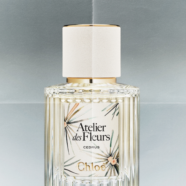 عطر CEDRUS تكريمًا لتراث دار Chloé