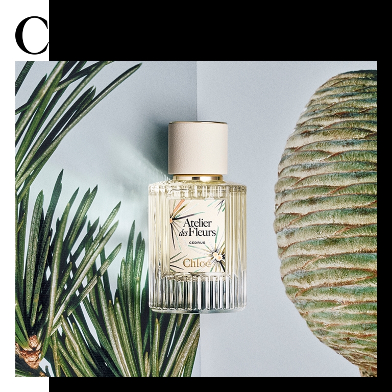 عطر CEDRUS تكريمًا لتراث دار Chloé