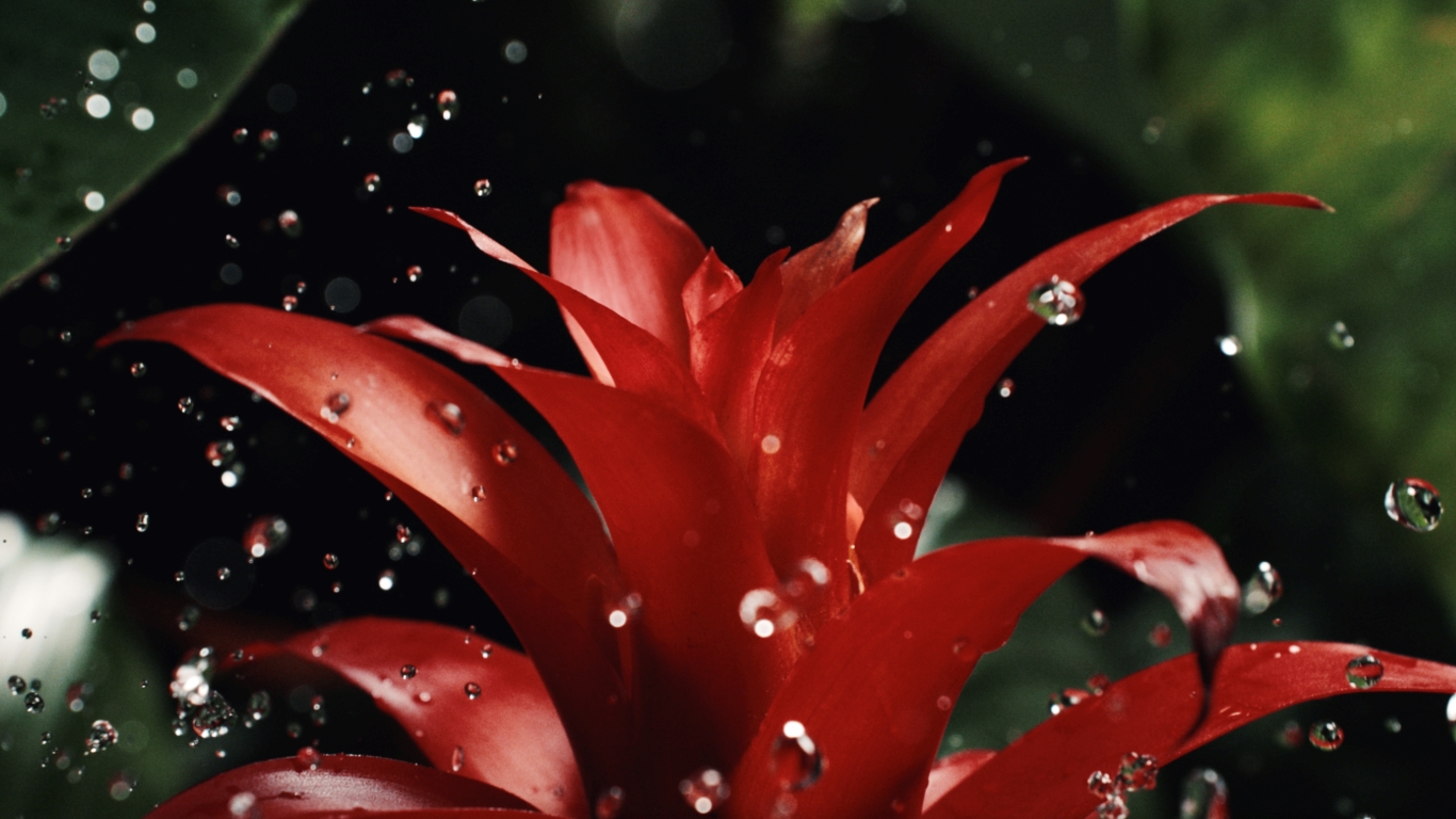 جيرلان تكشف عن أو دو بارفان من مجموعة L’ART & LA MATIÈRE