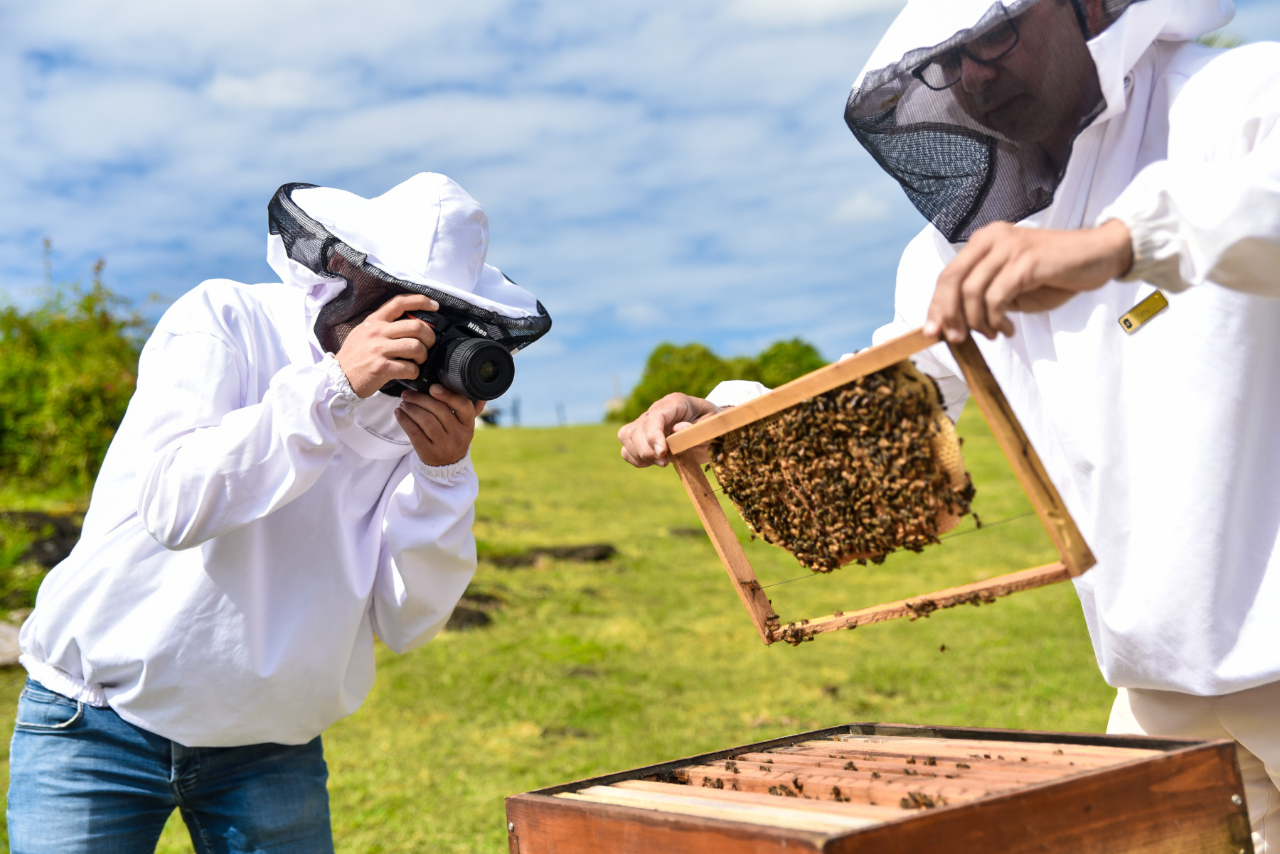 شانغريلا لو تويسروك 