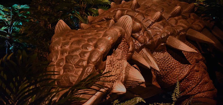  الأوديسة الغامرة