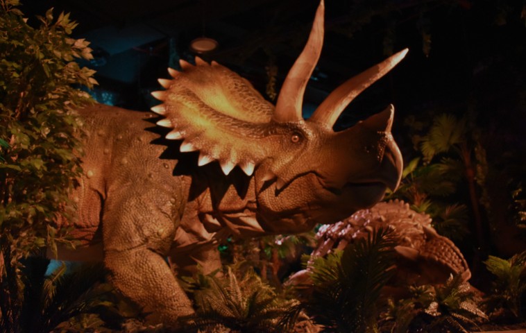  الأوديسة الغامرة