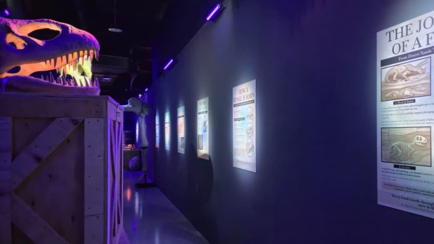  الأوديسة الغامرة