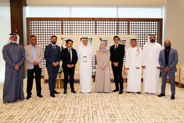 العلاج والرعاية الصحية