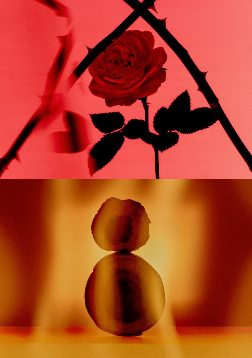 Contre-Jour: تجربة عطرية نادرة بين الشفافية والقوة